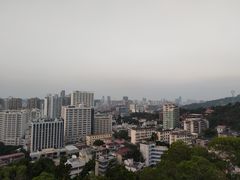 -鸿山公园