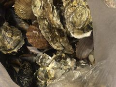 -威海海鲜王(窑头路店)