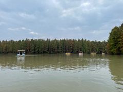 -上海海湾国家森林公园