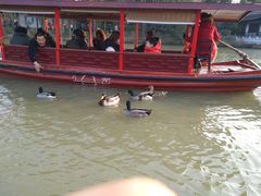 -东园小馆·早茶·淮扬小炒(印象汇店)