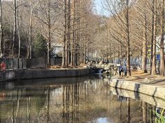 -白水寺森林公园