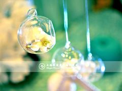 -上海圣淘沙万怡酒店