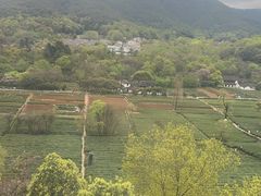 -灵顺寺