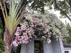 -深圳国际园林花卉博览园