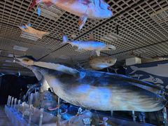 -国家自然博物馆