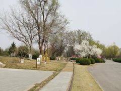 -永定河休闲森林公园