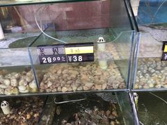 水产区-四海鲜渔家菜(黄金海岸店)