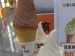-野人先生现做冰淇淋(西安赛格店)
