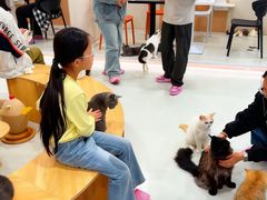 -麦当劳(济泺路店)