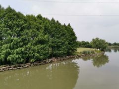 -九里河湿地公园