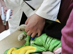 -艾贝尔宠物医院 ·内科全科(梁溪路店)