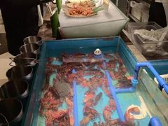 -星伦多自助料理(华润万象城店)