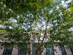 -常熟路(地铁站)