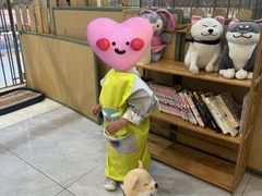 -柴犬小屋·柴餐厅·狗咖食堂(金鼎广场店)