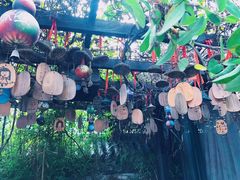 -慢丽江·云南野生菌土鸡锅(付家庄店)