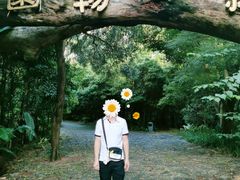 -金山植物公园