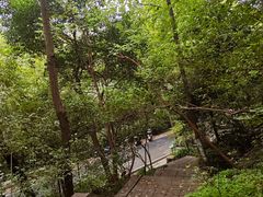 -北极阁公园