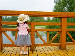 -东郊湿地公园