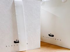-BLACKSWAN黑天鹅(环球店)