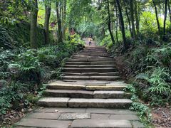 -青城山