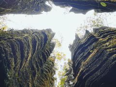 -梭布垭石林景区