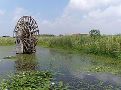-宁波杭州湾国家湿地公园