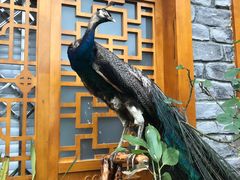 -天河潭旅游度假区