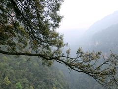 -赤水丹霞旅游区·佛光岩