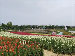-径山花海