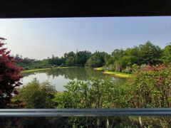 -桤木河湿地公园