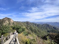 -大岭沟猕猴桃谷风景区