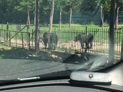 -秦皇岛野生动物园