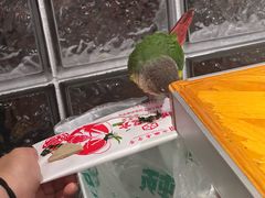 -琥珀老六龙虾(四里河店)