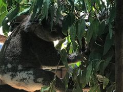 -可伦宾野生动物保护区