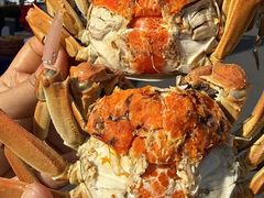 -品鲜村农家菜·阳澄湖大闸蟹(总店)