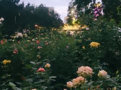 -人民公园(罗湖区)