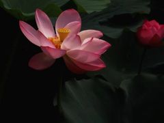 -重元寺