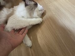 -剧狐剧本杀(徐汇1号店)