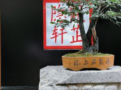 -觀芷隐轩