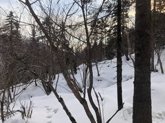 -雪谷