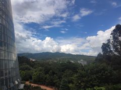 -昆明植物园
