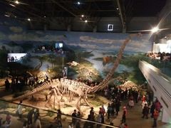 -自贡恐龙博物馆