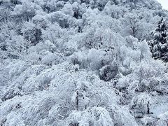 -叠溪松坪沟景区
