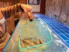 -0048鲜活香辣虾·火锅(铜陵路店)