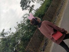 -大塘金香草谷