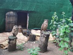 -沈阳鸟岛