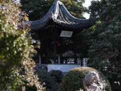 -何园