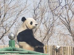 -天津市动物园