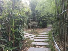 -唐城墙遗址公园