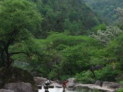 -百杖潭景区